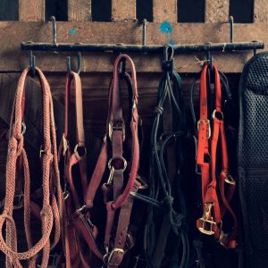 horse tack swap