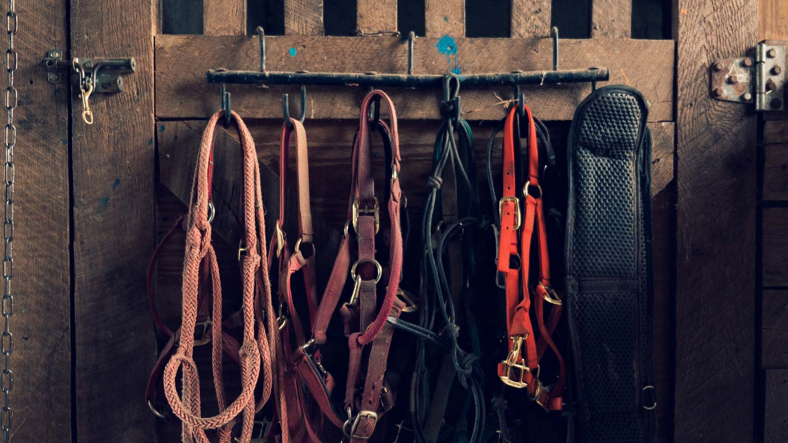 horse tack swap