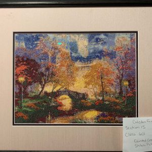 Class 601 Counted Cross Stitch Picture 1st Prize Erin Ziegler
