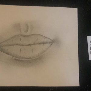 Class 610 Pen or pencil sketch 1st Prize Nikki Intranuovo