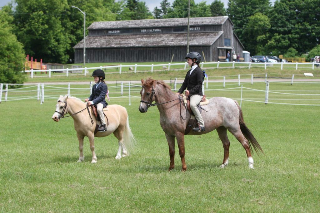 Horse Shows at Caledon Fair