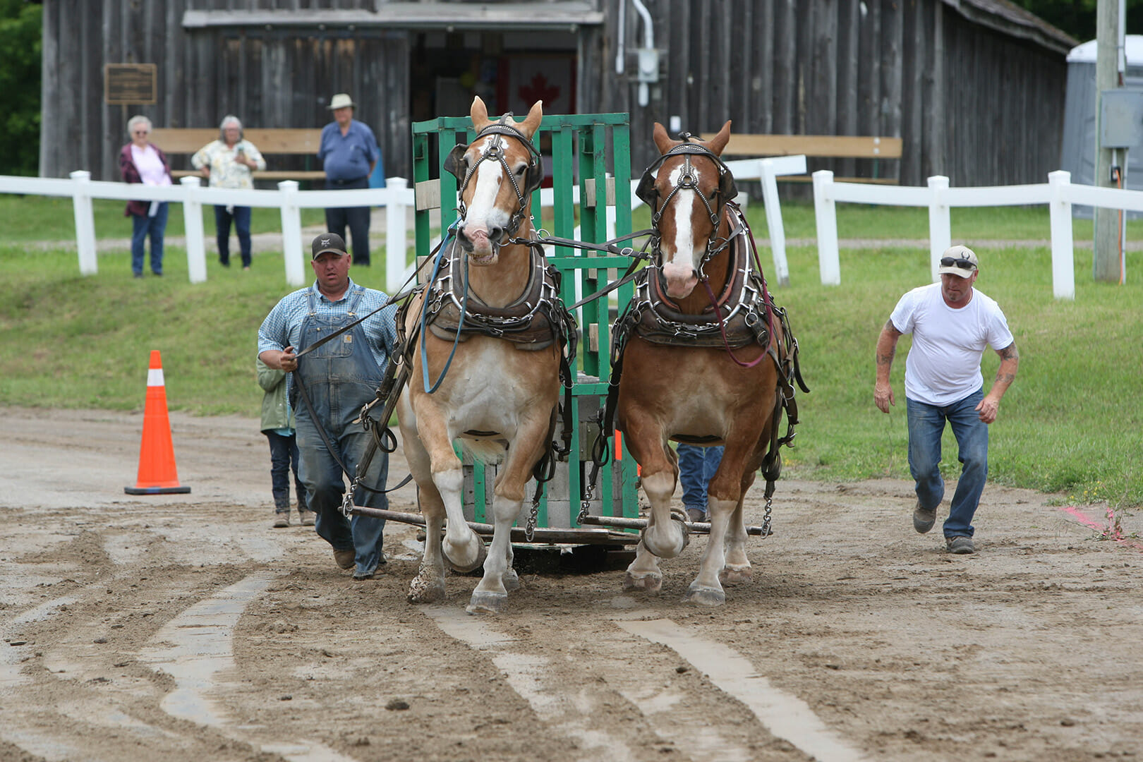 Horse Pull Caledon Fair Horse Pull Caledon Fair