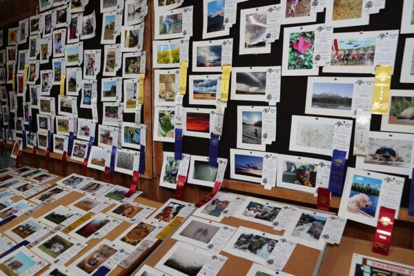 Photography display at Caledon Fair