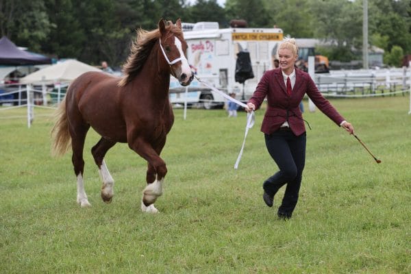 2024 Caledon Fair