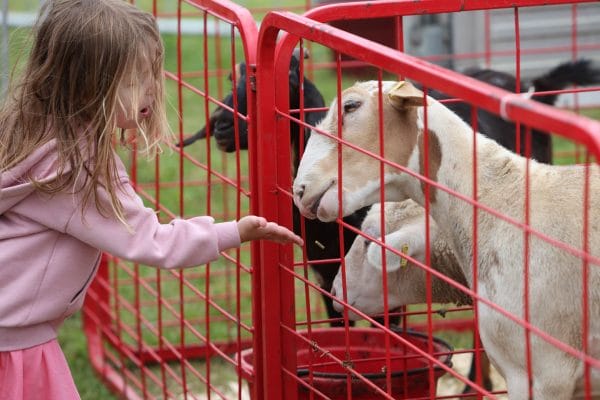 2024 Caledon Fair