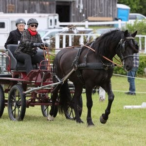 2024 Caledon Fair