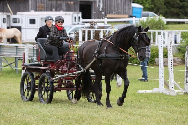 2024 Caledon Fair