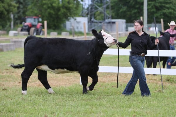 2024 Caledon Fair