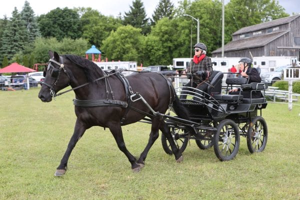2024 Caledon Fair