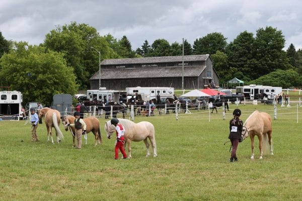 2024 Caledon Fair